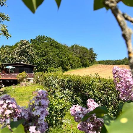 Ferienhaus Zittertal Neustadt Harz Haus I Βίλα Harztor Εξωτερικό φωτογραφία