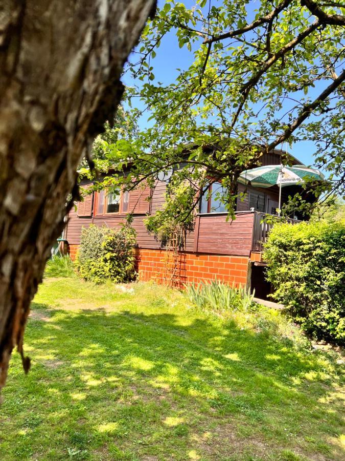 Ferienhaus Zittertal Neustadt Harz Haus I Βίλα Harztor Εξωτερικό φωτογραφία