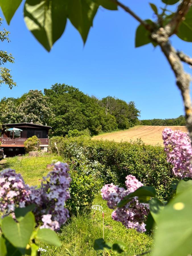 Ferienhaus Zittertal Neustadt Harz Haus I Βίλα Harztor Εξωτερικό φωτογραφία